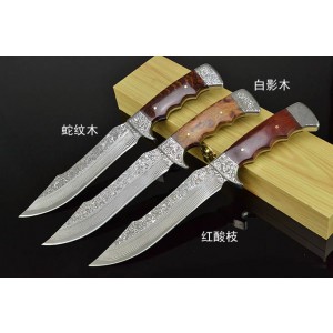 9CR18 Steel Blade Exotic Wood Handle Hunting Knife with Nylon Sheath Exqusite Box3882