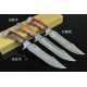 3881 damascus steel collectible knife